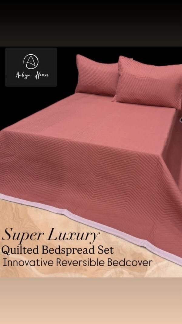 WhatsApp-Image-2025-11-05-at-7.05.21-AM-1.jpeg AALIYA STELLAR Double Bed Reversible Ultrasonic Bedcover Set with Pillow Covers
